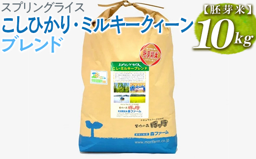 スプリングライス こしひかり・ミルキークィーン ブレンド (胚芽米) 10kg | 米 こめ コメ 10キロ 胚芽米 ブレンド米 こしひかり コシヒカリ ミルキークイーン みるきーくいーん もちもち 古河市産 茨城県産 取り寄せ お取り寄せ ギフト 贈答 贈り物 プレゼント お中元 お歳暮 茨城県 古河市 直送 農家直送 産地直送 送料無料 _BI52