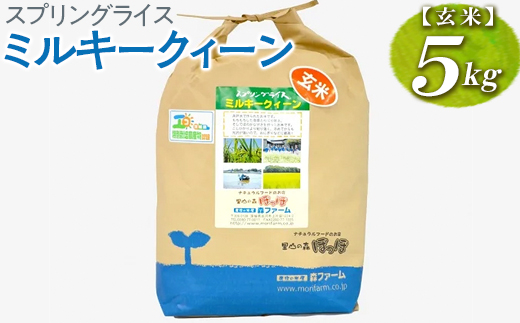 スプリングライス ミルキークィーン (玄米) 5kg | 米 こめ コメ 5キロ 玄米 ミルキークイーン みるきーくいーん 古河市産 茨城県産 取り寄せ お取り寄せ ギフト 贈答 贈り物 プレゼント お中元 お歳暮 茨城県 古河市 直送 農家直送 産地直送 送料無料 _BI62