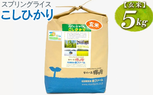 スプリングライス こしひかり (玄米) 5kg | 米 こめ コメ 5キロ 玄米 こしひかり コシヒカリ 古河市産 茨城県産 取り寄せ お取り寄せ ギフト 贈答 贈り物 プレゼント お中元 お歳暮 茨城県 古河市 直送 農家直送 産地直送 送料無料 _BI66