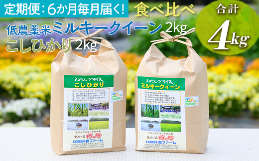 新米】【定期便】6か月毎月届く！低農薬米ミルキークイーン2kg＋こしひかり2kg 食べ比べ 合計4kg | 米 こめ コメ 4キロ 定期便 低農薬米  食べ比べ 食べくらべ こしひかり コシヒカリ ミルキークイーン みるきーくいーん 古河市産 茨城県産 贈答 贈り物 プレゼント 茨城県 ...