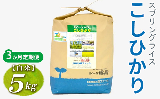 【定期便3か月】令和7年産 3か月毎月届く！スプリングライス こしひかり (白米) 5kg | 定期便 こめ 米 コメ 白米 白飯 精米 コシヒカリ 茨城県産 国産 茨城県 古河市 こだわり おいしい 2025年産 _FN17