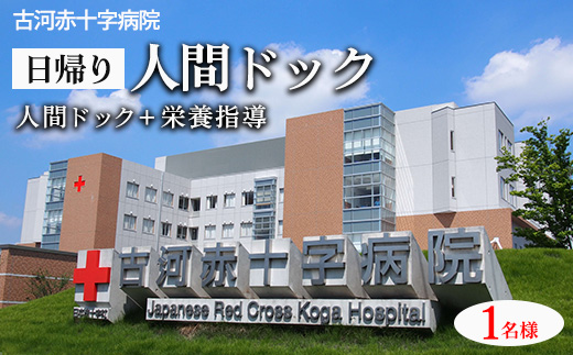 古河赤十字病院　日帰り人間ドック | 人間ドック 健診 健康診断 病院 生活習慣病 早期診断 早期発見 検査 健康 診断 医療 予約 赤十字 茨城県 古河市 _GB01