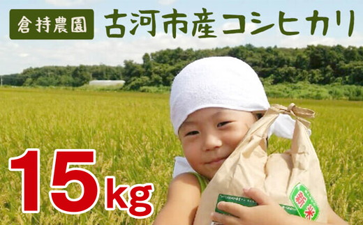 【令和7年産】古河市産 コシヒカリ15kg【倉持農園】 | 米 こめ コメ こしひかり コシヒカリ 15キロ 古河市産 茨城県産 贈答 贈り物 プレゼント 茨城県 古河市 直送 農家直送 産地直送 送料無料 _AN02 ※2025年11月上旬頃より順次発送予定