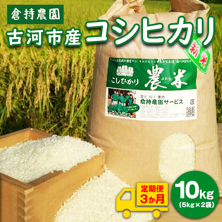 【定期便3か月】【新米】古河市産　コシヒカリ10kg【倉持農園】_AN04