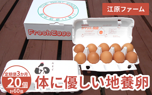 【定期便3か月】 江原ファーム　体に優しい地養卵（20個）｜卵 たまご タマゴ 生みたて 産みたて 新鮮 濃厚 健康 赤玉 産地直送_AG22