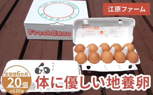 【定期便6か月】 江原ファーム　体に優しい地養卵（20個）｜卵 たまご タマゴ 生みたて 産みたて 新鮮 濃厚 健康 赤玉 産地直送_AG23