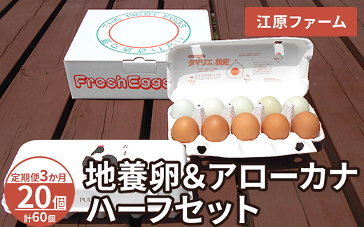 【定期便3か月】 江原ファーム　地養卵＆アローカナハーフセット（計20個）｜卵 たまご タマゴ 生みたて 産みたて 新鮮 濃厚 健康 赤玉 青い卵 産地直送_AG25