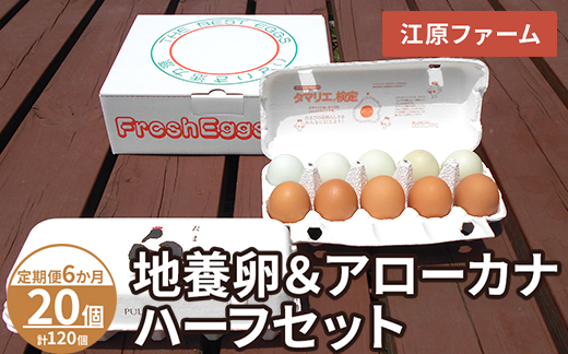 【定期便6か月】 江原ファーム　地養卵＆アローカナハーフセット（計20個）｜卵 たまご タマゴ 生みたて 産みたて 新鮮 濃厚 健康 赤玉 青い卵 産地直送_AG26
