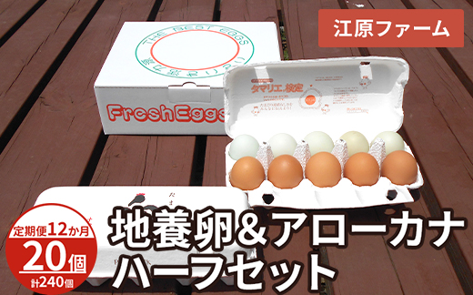 【定期便12か月】 江原ファーム　地養卵＆アローカナハーフセット（計20個）｜卵 たまご タマゴ 生みたて 産みたて 新鮮 濃厚 健康 赤玉 青い卵 産地直送_AG27