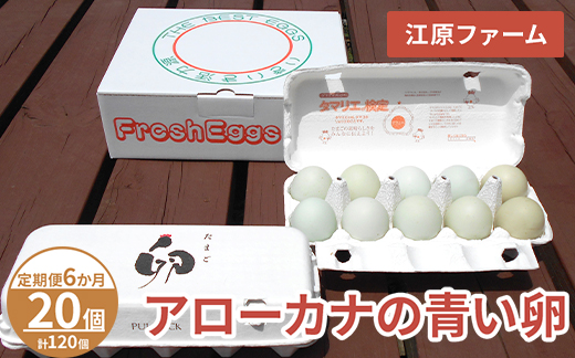 【定期便6か月】 江原ファーム　アローカナの青い卵（20個）｜卵 たまご タマゴ 生みたて 産みたて 新鮮 濃厚 健康 青い卵 産地直送_AG29