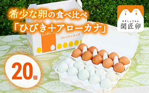 関匠卵 ひびき+アローカナハーフセット（計20個） ※北海道・沖縄・離島への配送不可 | 卵 30個 食べ比べ 玉子 たまご タマゴ 生卵 鶏卵 生みたて 産みたて アローカナ 赤玉 食べくらべ セット 新鮮 濃厚 健康 青い卵 TKG たまごかけごはん ご飯のお供 国産 ギフト 贈答 贈り物 お中元 お歳暮 プレゼント 茨城県 古河市 直送 農家直送 産地直送 送料無料 _CP06