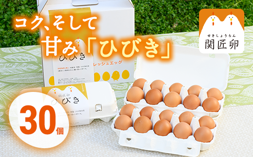 関匠卵 ひびき30個 ※北海道・沖縄・離島への配送不可 | 卵 30個 赤玉 玉子 たまご タマゴ 生卵 鶏卵 生みたて 産みたて 新鮮 濃厚 健康 TKG たまごかけごはん ご飯のお供 国産 ギフト 贈答 贈り物 お中元 お歳暮 プレゼント 茨城県 古河市 直送 農家直送 産地直送 送料無料 _CP01