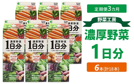 【定期便3カ月】野菜工房　濃厚野菜1日分 6本 | 野菜 ドリンク ジュース 砂糖不使用 食塩不使用 朝食 野菜ジュース 飲みやすい 便利 手軽 おいしい 美味しい 茨城県 古河市 _DT16