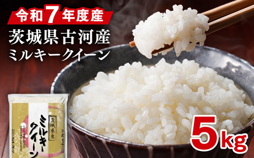令和7年産 古河産ミルキークイーン（5kg） | 米 こめ コメ 5キロ ミルキークイーン みるきーくいーん 古河市産 茨城県産 贈答 贈り物 プレゼント 茨城県 古河市 直送 産地直送 送料無料 ※2025年9月中旬頃より順次発送予定 _DP08