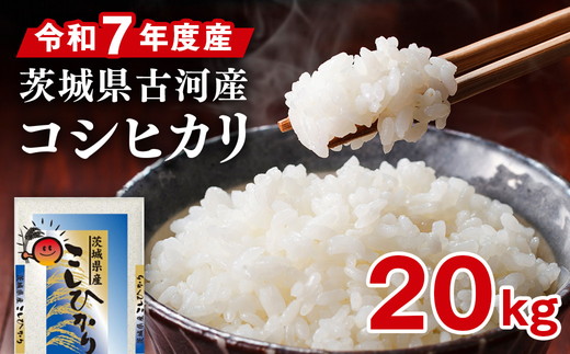 令和7年産 古河市産 コシヒカリ 20kg（5kg×4袋） ｜ 米 こめ コメ 20キロ こしひかり コシヒカリ 古河市産 茨城県産 贈答 贈り物 プレゼント 茨城県 古河市 直送 産地直送 送料無料 ※2025年9月上旬頃より順次発送予定 _DP24