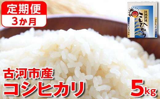【定期便 3か月】【新米】令和7年産 古河市産コシヒカリ 5kg | 米 こめ コメ 5キロ 定期便 こしひかり コシヒカリ 古河市産 茨城県産 贈答 贈り物 プレゼント 茨城県 古河市 直送 産地直送 送料無料 _DP34
