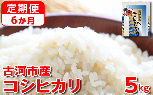 【定期便 6か月】【新米】令和7年産 古河市産コシヒカリ 5kg ｜ 米 こめ コメ 5キロ 定期便 こしひかり コシヒカリ 古河市産 茨城県産 贈答 贈り物 プレゼント 茨城県 古河市 直送 産地直送 送料無料 _DP35