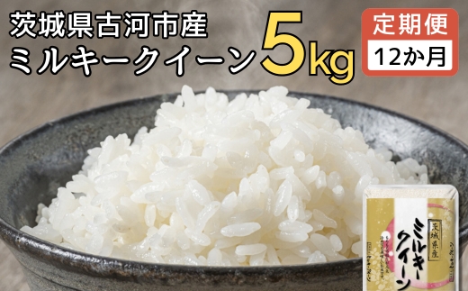 【定期便 12か月】【新米】令和7年産 古河市産ミルキークイーン 5kg ｜ 米 こめ コメ 5キロ 定期便 ミルキークイーン みるきーくいーん 古河市産 茨城県産 贈答 贈り物 プレゼント 茨城県 古河市 直送 産地直送 送料無料 _DP39