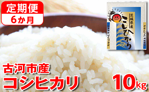【定期便 6か月】【新米】令和7年産 古河市産コシヒカリ 10kg（5kg×2袋）｜米 コメ こめ ごはん ご飯 ゴハン 白飯 単一米 国産 コシヒカリ こしひかり 10kg 定期便 6ヶ月 6回 茨城県 古河市_DP44