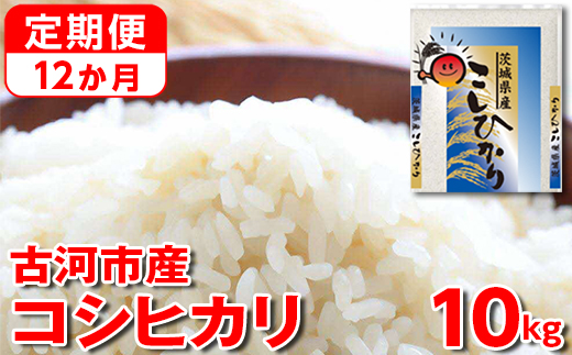 【定期便 12か月】【新米】令和7年産 古河市産コシヒカリ 10kg（5kg×2袋）｜米 コメ こめ ごはん ご飯 ゴハン 白飯 単一米 国産 コシヒカリ こしひかり 10kg 定期便 12ヶ月 12回 1年 茨城県 古河市_DP45