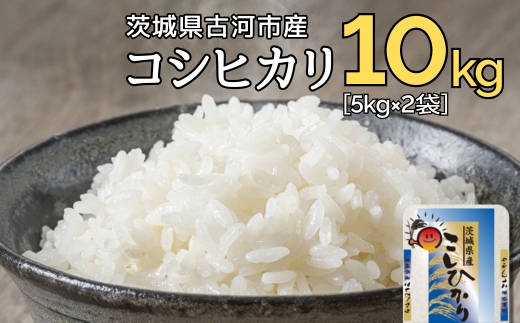 令和7年産 古河市のお米 コシヒカリ 10kg(5kg×2袋） | 米 こめ コメ 10キロ こしひかり コシヒカリ 古河市産 茨城県産 贈答 贈り物 プレゼント 茨城県 古河市 直送 産地直送 送料無料 着日指定可 着日指定OK ※2025年9月上旬頃より順次発送予定 _DP90