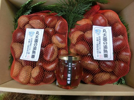 【数量・期間限定】低温追熟和栗1.8Kgと自園の栗蜂蜜セット | はちみつ くり 産地直送 茶園 丸太園　※離島への配送不可 ※2025年10月中旬頃より順次発送予定 _BF13