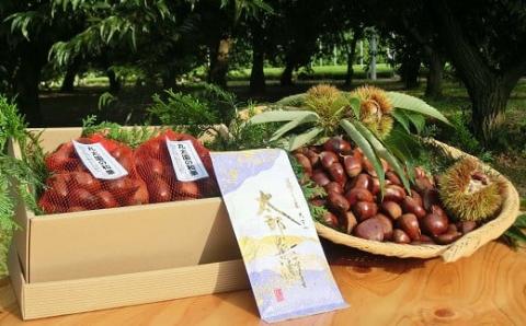 【数量・期間限定】低温熟成栗和栗1.8Kgとさしま茶のセット | 茶園 産地直送 緑茶 日本茶 茶 くり ※離島への配送不可 ※2025年10月中旬頃より順次発送予定 _BF14