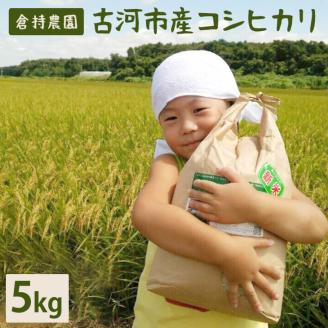 【令和7年産】【新米】古河市産　コシヒカリ5kg【倉持農園】 | 米 こめ コメ こしひかり コシヒカリ 5キロ 古河市産 茨城県産 贈答 贈り物 プレゼント 茨城県 古河市 直送 農家直送 産地直送 送料無料 _AN03 ※2025年11月上旬頃より順次発送予定