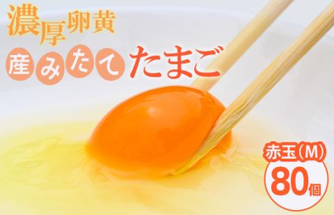小久保ファーム　濃厚卵黄　産みたてたまご　赤玉80個入り（M玉） | 卵 80個 赤玉 玉子 たまご タマゴ 生卵 鶏卵 生みたて 産みたて 新鮮 濃厚 健康 TKG たまごかけごはん ご飯のお供 国産 ギフト 贈答 贈り物 お中元 お歳暮 プレゼント 茨城県 古河市 直送 農家直送 産地直送 送料無料 _EI03