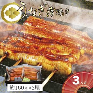 うなぎ蒲焼3人前（1人前約160g×3）贈答用パッケージ｜ うなぎ 鰻 ウナギ 480グラム 国産 かば焼き 蒲焼き 蒲焼 うな重 ひつまぶし たれ 山椒 人気 おすすめ 取り寄せ お取り寄せ グルメ 惣菜 贈答 贈り物 プレゼント お中元 お歳暮 御歳暮 茨城県 古河市 直送 店舗直送 送料無料 _AT03