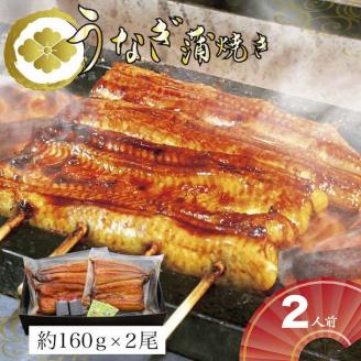 うなぎ蒲焼2人前（1人前約160g×2）贈答用パッケージ｜ うなぎ 鰻 ウナギ 320グラム 国産 かば焼き 蒲焼き 蒲焼 うな重 ひつまぶし たれ 山椒 人気 おすすめ 取り寄せ お取り寄せ グルメ 惣菜 ギフト 贈答 贈り物 プレゼント お中元 お歳暮 御歳暮 茨城県 古河市 直送 店舗直送 送料無料 _AT02