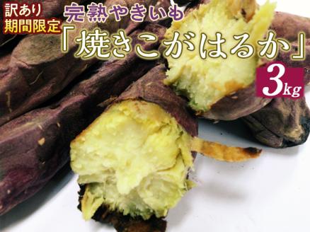 訳あり 期間限定 完熟やきいも「焼きこがはるか」(3kg) ※着日指定不可 ※離島への配送不可 | 焼き芋 さつまいも 3キロ 紅はるか 冷凍 おやつ スイーツ 国産 ギフト 贈答 贈り物 プレゼント 茨城県 古河市 直送 農家直送 産地直送 送料無料 _CM04
