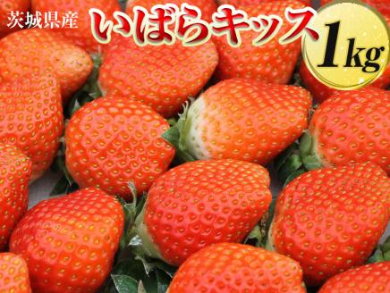 見送り×　茨城県産　いばらキッス　約1kg〈茨城県共通返礼品・大洗町〉_DV09 ※2023年1月上旬～3月上旬頃に順次発送予定 ※北海道・沖縄・離島への配送不可 ※着日指定不可