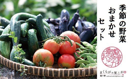 道の駅まくらがの里古河　季節の新鮮野菜おまかせセット | 野菜 セット 詰合せ 詰め合わせ セット アソート 新鮮 道の駅 人気 ギフト 贈答 贈り物 プレゼント お中元 お歳暮 茨城県 古河市 直送 農家直送 産地直送 送料無料 _BQ02