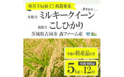 【定期便】1年間毎月届く！低農薬米こしひかり（偶数月）とミルキークイーン（奇数月）5kg ※季節の特産品付き | 米 こめ コメ 5キロ 定期便 低農薬米 食べ比べ 食べくらべ こしひかり コシヒカリ ミルキークイーン みるきーくいーん 特産品 古河市産 茨城県産 贈答 贈り物 プレゼント 茨城県 古河市 直送 農家直送 産地直送 送料無料 _BI03