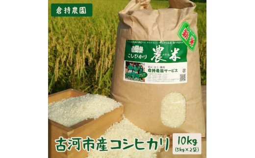 【令和7年産】【新米】古河市産 コシヒカリ10kg【倉持農園】 | 米 こめ コメ こしひかり コシヒカリ 10キロ 古河市産 茨城県産 贈答 贈り物 プレゼント 茨城県 古河市 直送 農家直送 産地直送 送料無料 _AN01 ※2025年11月上旬頃より順次発送予定
