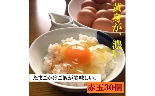 江原ファーム 体に優しい地養卵 ３０個 割れ補償 | 卵 30個 赤玉 玉子 たまご タマゴ 生卵 鶏卵 生みたて 産みたて 地養卵 新鮮 濃厚 健康 TKG たまごかけごはん ご飯のお供 国産 ギフト 贈答 贈り物 お中元 お歳暮 プレゼント 茨城県 古河市 直送 農家直送 産地直送 送料無料 _AG03