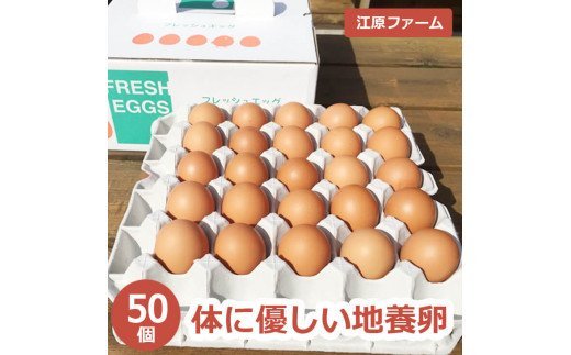 江原ファーム 体に優しい地養卵 ５０個 割れ補償 | 卵 50個 赤玉 玉子 たまご タマゴ 生卵 鶏卵 生みたて 産みたて 地養卵 新鮮 濃厚 健康 TKG たまごかけごはん ご飯のお供 国産 ギフト 贈答 贈り物 お中元 お歳暮 プレゼント 茨城県 古河市 直送 農家直送 産地直送 送料無料 _AG04