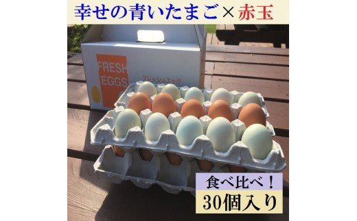 江原ファーム 地養卵＆アローカナハーフセット 計３０個 割れ補償 | 卵 30個 食べ比べ 玉子 たまご タマゴ 生卵 鶏卵 生みたて 産みたて アローカナ 地養卵 食べくらべ セット 新鮮 濃厚 健康 青い卵 TKG たまごかけごはん ご飯のお供 国産 ギフト 贈答 贈り物 お中元 お歳暮 プレゼント 茨城県 古河市 直送 農家直送 産地直送 送料無料 _AG07