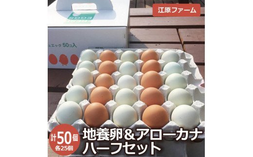 江原ファーム 地養卵＆アローカナハーフセット 計５０個 割れ補償  | 卵 50個 食べ比べ 玉子 たまご タマゴ 生卵 鶏卵 生みたて 産みたて アローカナ 地養卵 食べくらべ セット 新鮮 濃厚 健康 青い卵 TKG たまごかけごはん ご飯のお供 国産 ギフト 贈答 贈り物 お中元 お歳暮 プレゼント 茨城県 古河市 直送 農家直送 産地直送 送料無料 _AG08