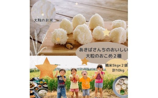 令和4年産　あきばさんちのおいしい大粒のおこめ２種（精米5kg×２袋）計10kg_CR01