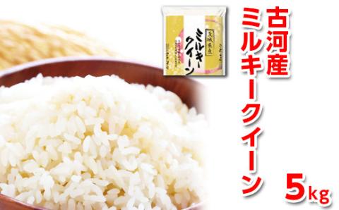 [新米]令和6年産 古河産ミルキークイーン(5kg) | 米 こめ コメ 5キロ ミルキークイーン みるきーくいーん 古河市産 茨城県産 贈答 贈り物 プレゼント 茨城県 古河市 直送 産地直送 送料無料 _DP08