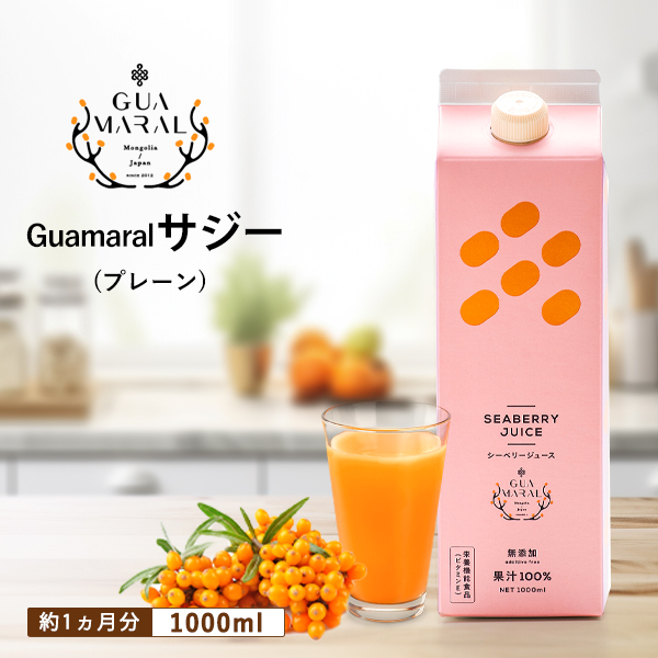 サジージュース 100% 1000ml×1本 | サジージュース サジー シーベリー 沙棘 グアマラル 健康ドリンク ドリンク ジュース 健康 美容 栄養 果汁 鉄分補給 栄養補給 健康食品 贈答 贈り物 プレゼント ギフト 茨城県 古河市 送料無料_DX02