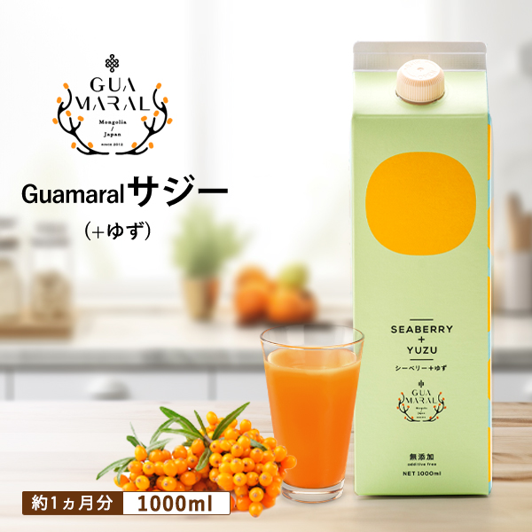 サジージュース+ゆず 1000ml×1本 | サジージュース サジー シーベリー 沙棘 グアマラル 健康ドリンク ドリンク ジュース 健康 美容 栄養 果汁 鉄分補給 栄養補給 健康食品 セット 贈答 贈り物 プレゼント ギフト 茨城県 古河市 送料無料 _DX03