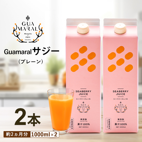 サジージュース 100% 1000ml×2本セット | サジージュース サジー シーベリー 沙棘 グアマラル 健康ドリンク ドリンク ジュース 健康 美容 栄養 果汁 鉄分補給 栄養補給 健康食品 贈答 贈り物 プレゼント ギフト 茨城県 古河市 送料無料 _DX04