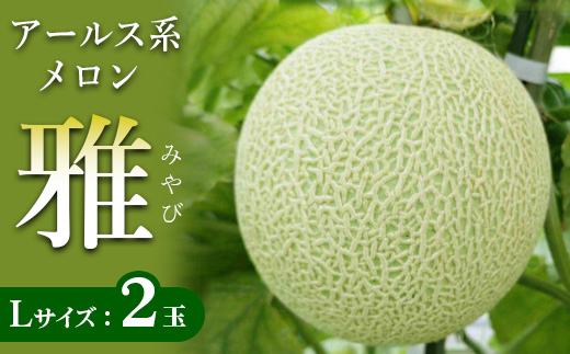 アールス系メロン"雅"(みやび) 2玉 ※2024年7月上旬〜7月中旬頃に順次発送予定 ※北海道・沖縄・離島への配送不可 | メロン めろん 雅 果物 くだもの フルーツ 旬 坂東太郎 あまい 甘い 人気 取り寄せ お取り寄せ ギフト 贈答 贈り物 プレゼント 直送 工場直送 茨城県 古河市 送料無料_CB16