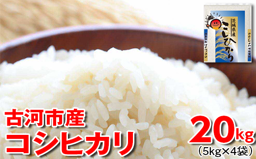 [新米]令和6年産 古河市産 コシヒカリ 20kg(5kg×4袋) | 米 こめ コメ 20キロ こしひかり コシヒカリ 古河市産 茨城県産 贈答 贈り物 プレゼント 茨城県 古河市 直送 産地直送 送料無料 _DP24