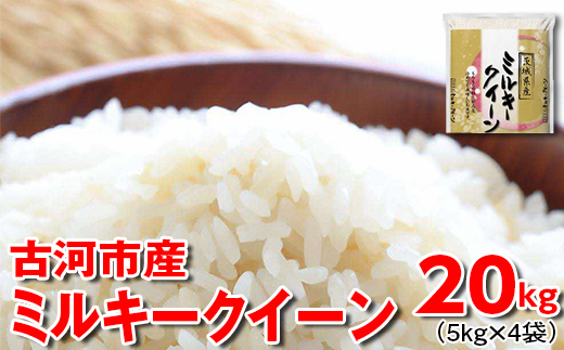 [新米]令和6年産 古河市産 ミルキークイーン 20kg(5kg×4袋) | 米 こめ コメ 20キロ ミルキークイーン みるきーくいーん 古河市産 茨城県産 贈答 贈り物 プレゼント 茨城県 古河市 直送 産地直送 送料無料 _DP25