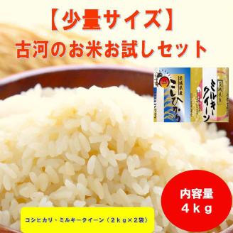 [新米]古河のお米お試しセット(コシヒカリ・ミルキークイーン各2kg) | 米 こめ コメ 4キロ 精米 食べ比べ 食べくらべ こしひかり コシヒカリ ミルキークイーン みるきーくいーん 古河市産 茨城県産 贈答 贈り物 プレゼント 茨城県 古河市 直送 農家直送 産地直送 送料無料 _DP13