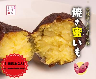 [スイーツのような甘さ]焼き蜜いも(1箱6本入り) | スイーツ 芋 いも イモ やきいも さつまいも サツマイモ おやつ お菓子 菓子 健康 食物繊維 野菜 やさい 甘い ねっとり しっとり 冷凍 紅和み 長期保存 蜜 茨城県産 茨城県 古河市 温め 冷やし _DP12